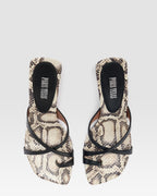 MULE AUS NAPPA UND PYTHON-PRINT